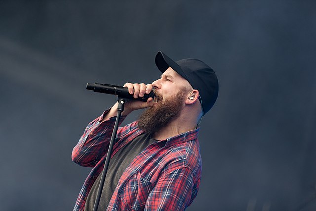 Singer Anders Fridén at Rock am Ring 2017
