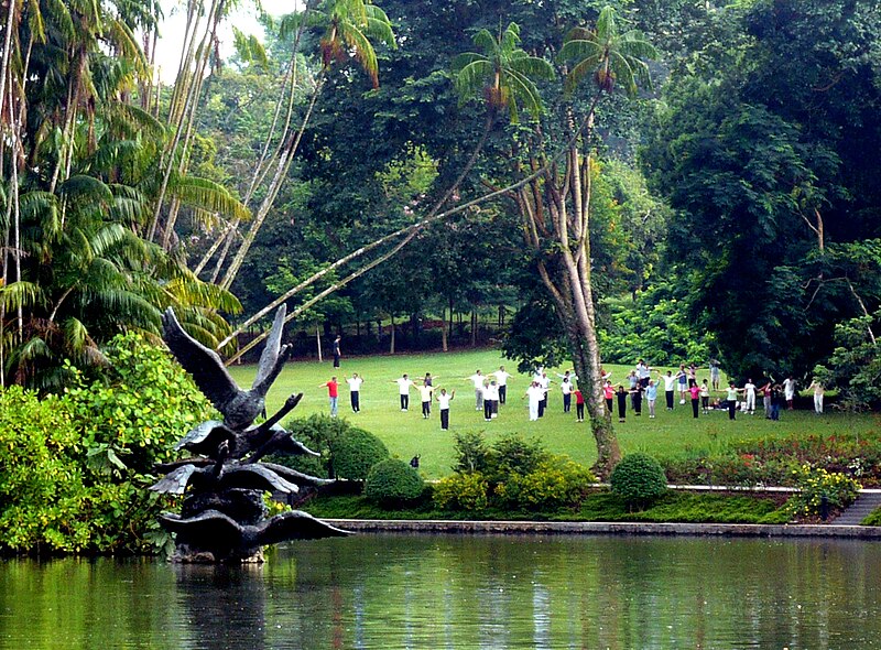 File:Jardín Botánico de Singapur 40.jpg