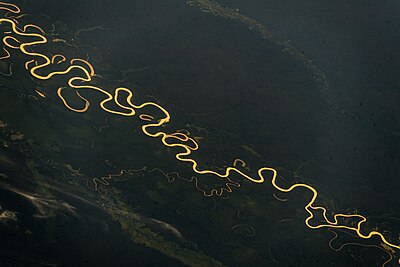 L'Amazone au Brésil.
