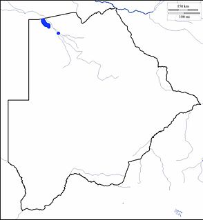 <span class="mw-page-title-main">Khwe language</span> Khoe dialect continuum of the Okavango Delta, southwestern Africa