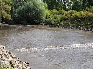 Mouth of the Käsbach in the Kostheim Main Harbor.  The Käsbach has deposited vast amounts of very fine silt-like sediments in the harbor basin, which are carried on by constant, tidal fluctuations in the water level and cause the water level to run out very flat.  The picture shows an accumulating flood.  The fluctuations are caused by the ship traffic passing the mouth of the harbor basin.