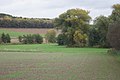 La confluència amb el Krummes Wasser (sota el bosc).