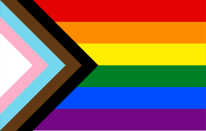 Regenbogenflagge mit Schwarz, Braun, Hellblau, Rosa und Weiß