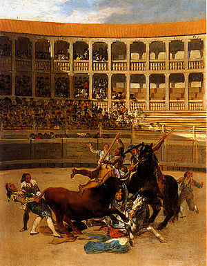 Bullfighting