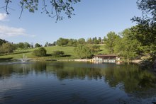 Oglebay Park Lake and fountain at the Oglebay Park and Resort in Wheeling, West Virginia LCCN2015632035.tif