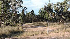 Krajina 2, Somme, Queensland, 2015.JPG