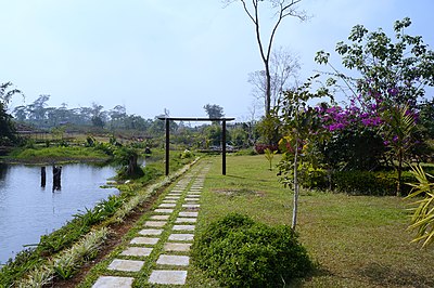 Parc du châlet des plantations de café sur le Plateau des Bolovens Laos.