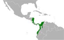 Laterallus albigularis mapa.svg