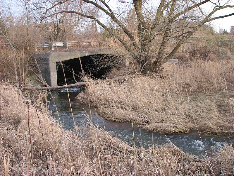 File:Levi Creek (324947178).jpg