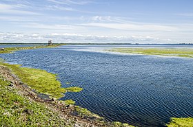 Utsikt over innsjøen fra den nordlige bredden sommeren 2014