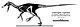 Linheraptor skeletal.jpg