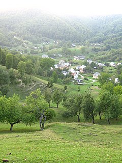 Лопухів,  Закарпатська Область, Україна