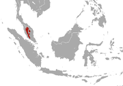 Malayan Water Shrew area.png