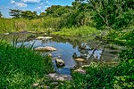 Male Hot Springs Amuru.jpg