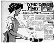 Газетная иллюстрация в статье о Тифозной Мэри, 1909 год
