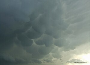 Mammatus Clouds.jpg