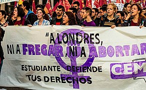 Маніфестація за право на аборт, Мадрид, 2014