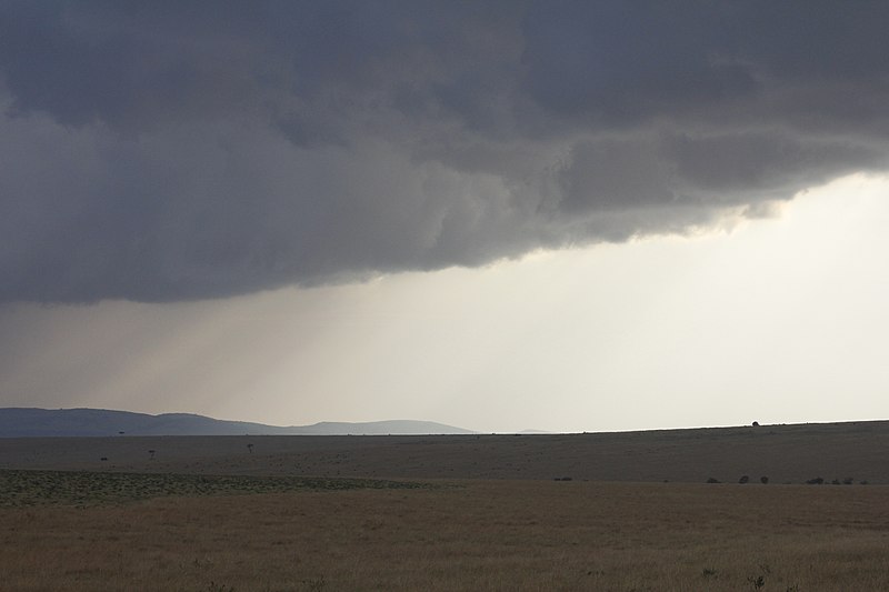 File:Masai Mara Safari (9545723796).jpg