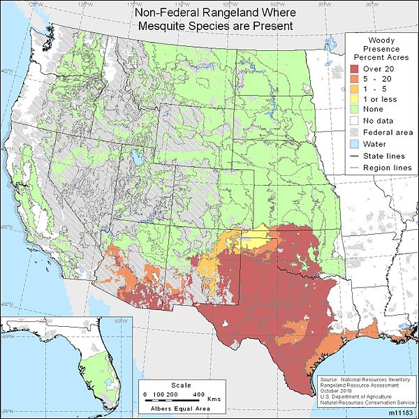 File:Mesquite Range in the United States.jpg