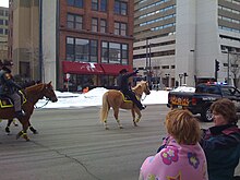 Clarke on horseback at the 2008 Milwaukee St. Patrick's Day parade Milwaukee Co Sheriff David Clarke.jpg