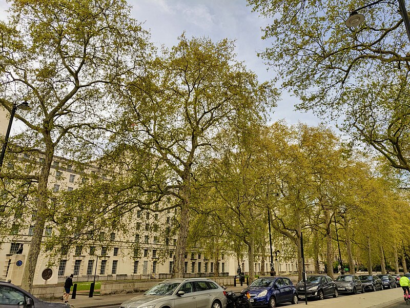 File:Ministry of Defence from across Embankment.jpg