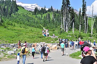 Skyline trailhead