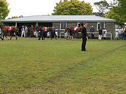 A mounting yard at a country race meeting. Mounting yard.JPG