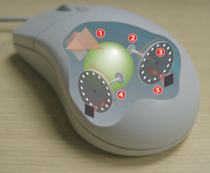 Computer mouse - Wikipedia