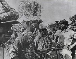 Mozambican War of Independence.jpg