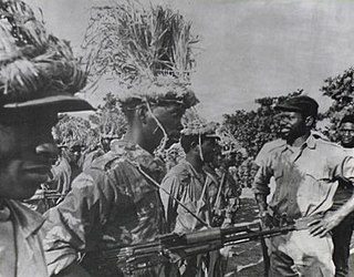 <span class="mw-page-title-main">Mozambican War of Independence</span> Armed conflict (1964–1974)