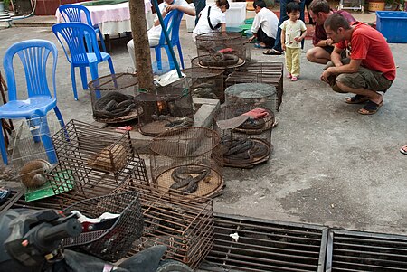 Tập_tin:Myanmar_Illicit_Endangered_Wildlife_Market_05.jpg