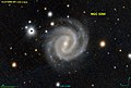 NGC 5260 PanS.jpg