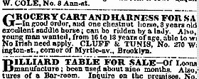 Example of "No Irish need apply" ads by a business for male workers found in The New York Times, 1854. NINA-nyt.JPG
