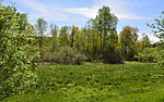 Scheibensee (Naturschutzgebiet)