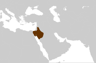 Nabataean Kingdom Ancient Arab kingdom (3rd century BCE – 106 CE)