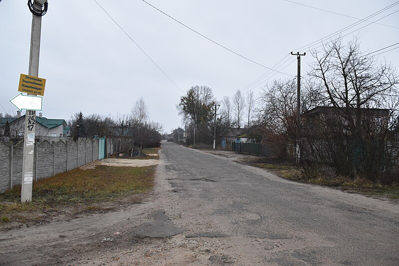 Файл:Naberezhna Street in Tolokun village (01).jpg