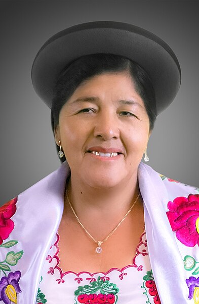 File:Natividad Aramayo Paredes. Official portrait, 2020. Chamber of Senators of Bolivia.jpg