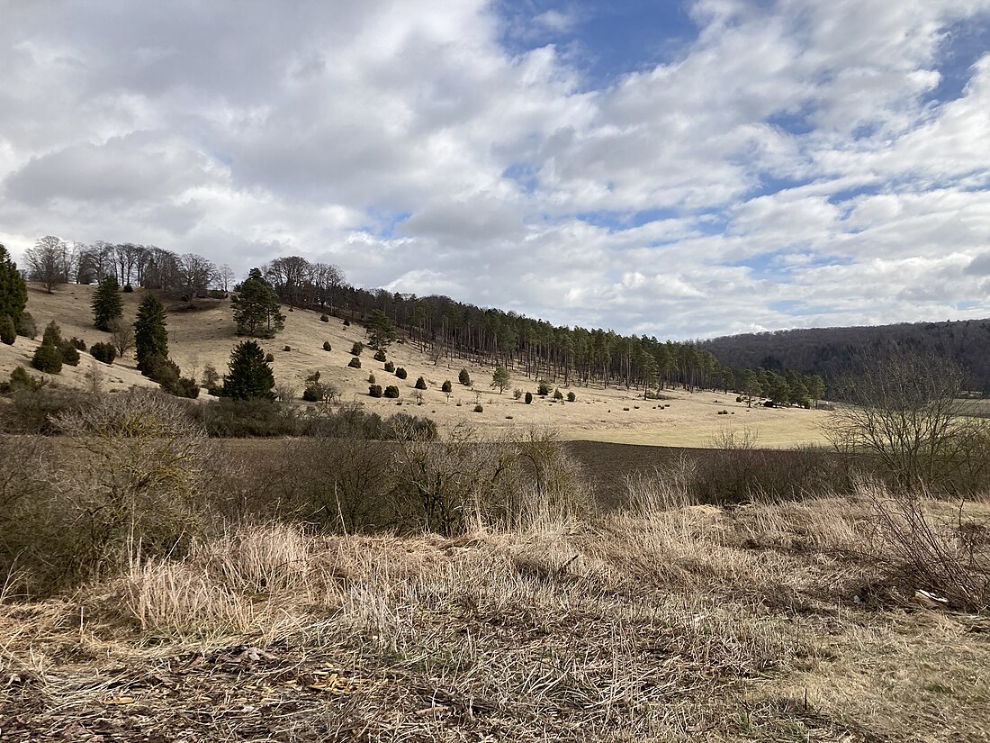 Bullenberg-Dudelberg-Stockhau