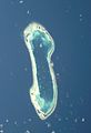 Image 14The atoll of Nukulaelae (from Coral reefs of Tuvalu)