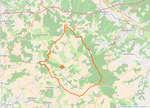 300px osm orbigny