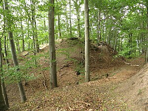 View from the south of the main castle (center) and the neck ditch (right)