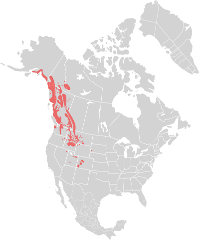 File:Localização dos crioulos luso-americanos.png - Wikimedia Commons