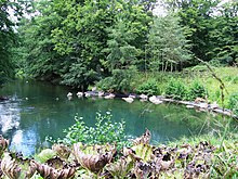 Die Quelle des Loiret („Le Bouillon“)