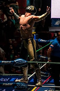 Oro Jr. Mexican professional wrestler