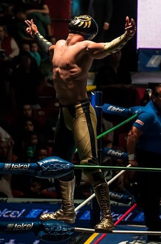 <span class="mw-page-title-main">Oro Jr.</span> Mexican professional wrestler