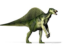 Ouranosaurus1.jpg
