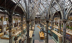 Oxford University Museum of Natural History, Oxford, UK - Diliff.jpg