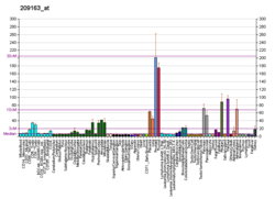 PBB GE CYB561 209163 at fs.png