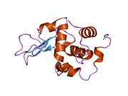 PDB 1gb6 EBI.jpg