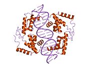 PDB 1ic8 EBI.jpg